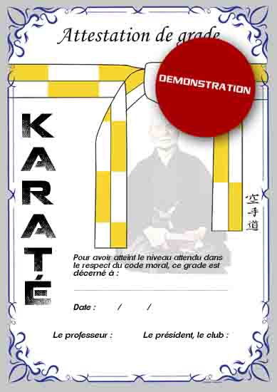 Certificate white yellow belt